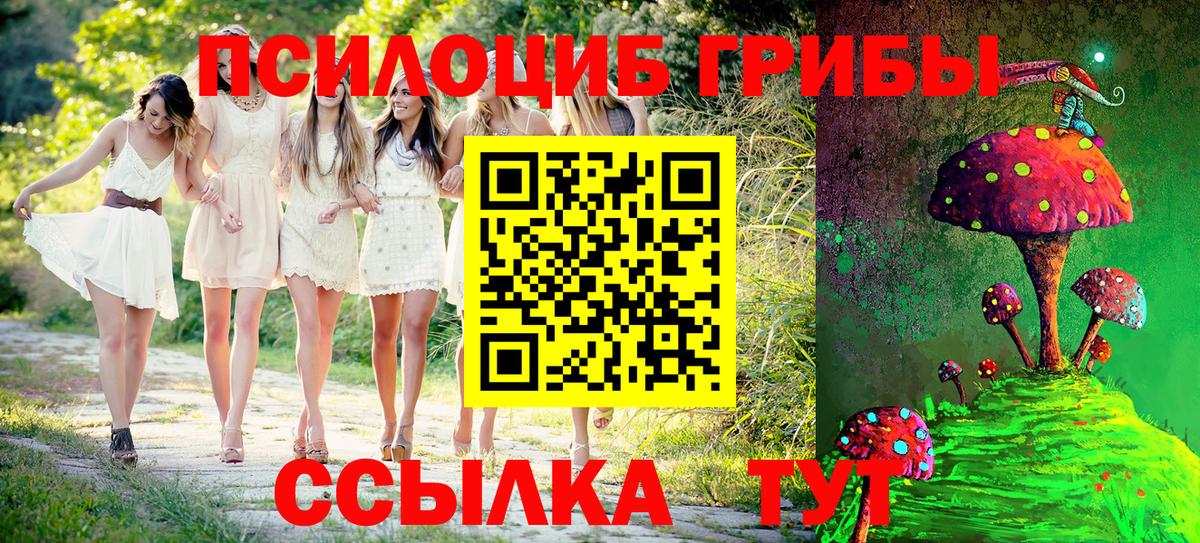 Галлюциногенные грибы Psilocybe  Вход с VPN  Галлюциногенные грибы мухоморы  Борзя 