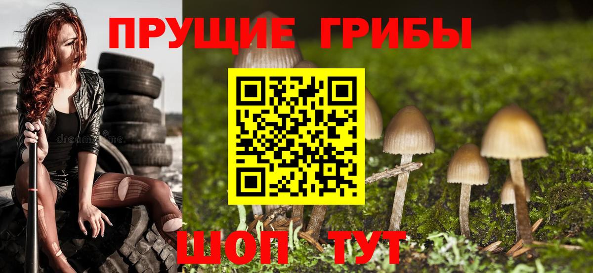 Галлюциногенные грибы мицелий Борзя